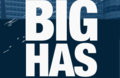 Too Big Has Failed