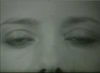 SEEING IS BELIEVING: Handicams Human Rights and the SEEING IS BELIEVING: Handicams Human Rights and the