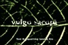 VULGO SACOPÃ TONI B - SQUATTING LAND IN RIO VULGO SACOPÃ TONI B - SQUATTING LAND IN RIO